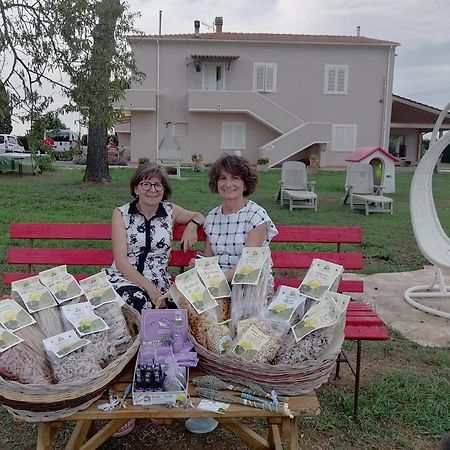 Agriturismo Susanna E Atria Биббона Экстерьер фото