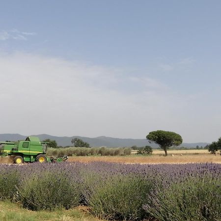 Agriturismo Susanna E Atria Биббона Экстерьер фото