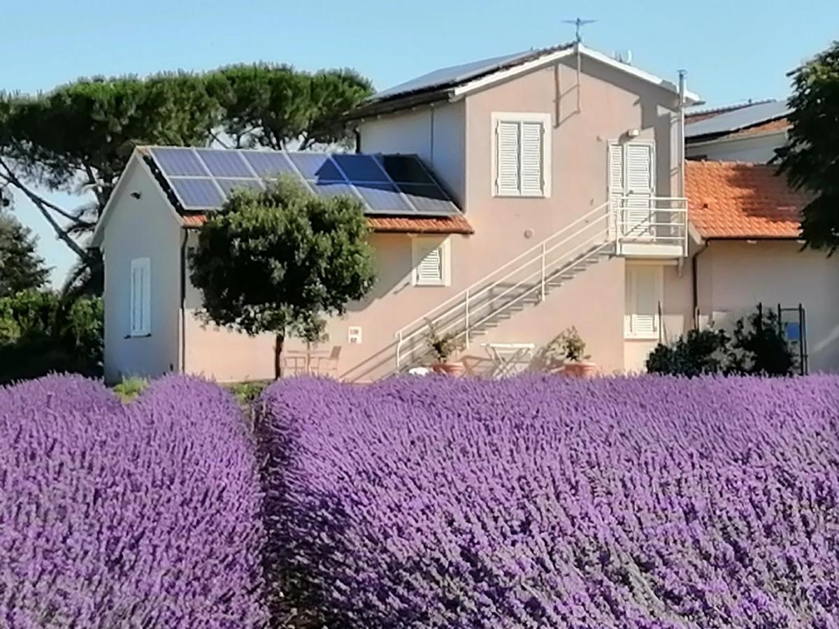Agriturismo Susanna E Atria Биббона Экстерьер фото