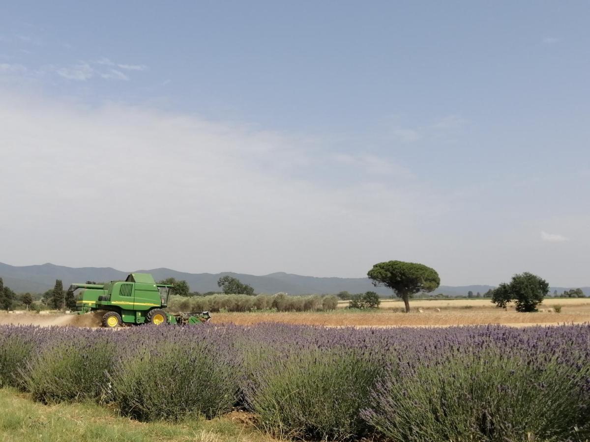 Agriturismo Susanna E Atria Биббона Экстерьер фото